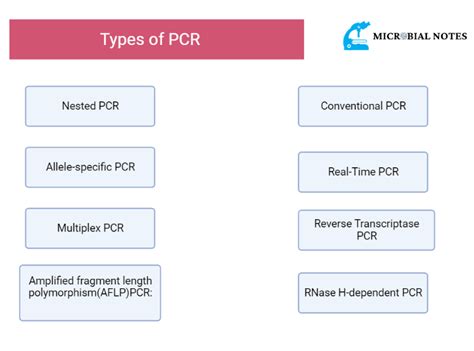 36 Types of PCR you must know in 2024 - Microbial notes