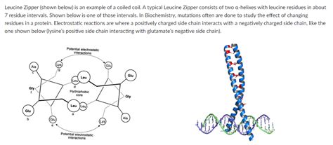 Leucine Zipper (shown below) is an example of a | Chegg.com