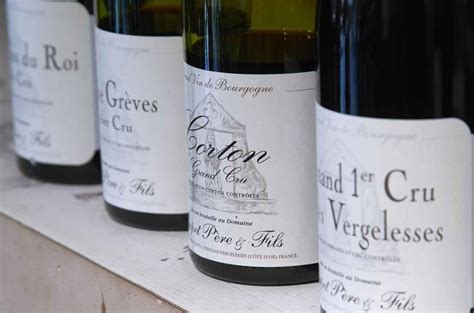 Burgundy premier cru vs grand cru vineyards - Ask Decanter - Decanter