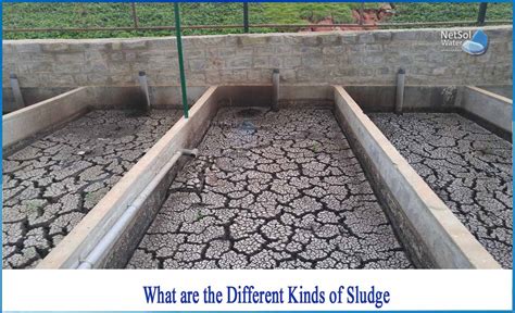 What are the different kinds of Sludge