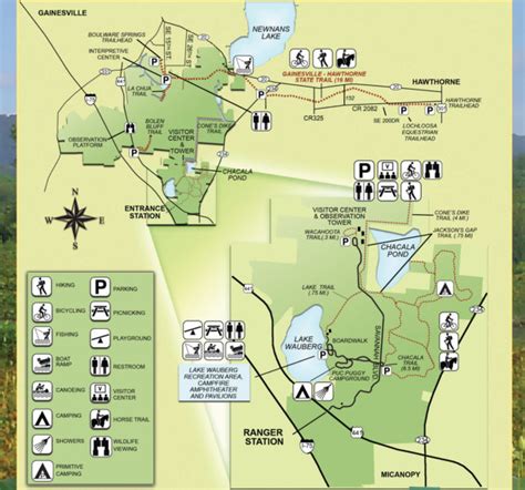 Paynes Prairie Preserve State Park: Bison & wild horses? Yes!