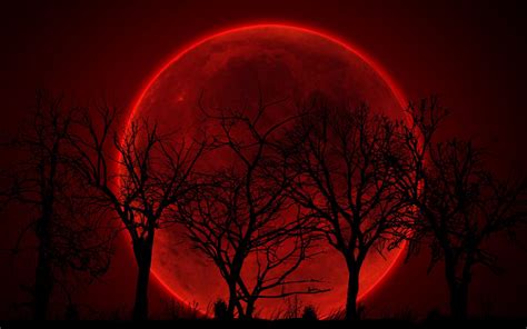 Blood Red Moon Wallpaper