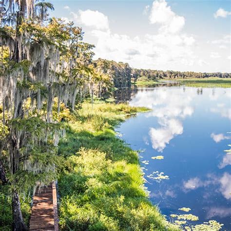 Top 10 Things To Do In Avon Park | Visit Sebring