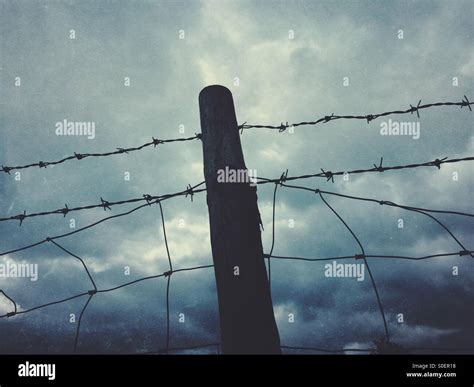 Barb wire and fence Stock Photo - Alamy