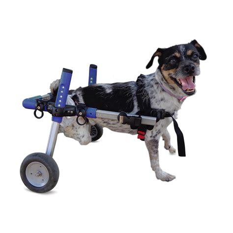 Walkin' Wheels Dog Wheelchair - Vet Approved - Small Dogs 11-25 Pounds ...