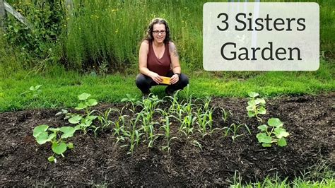 Creating a 3 Sisters Garden - YouTube