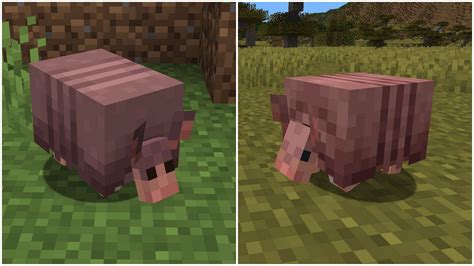 Minecraft players discuss new upcoming armadillo texture