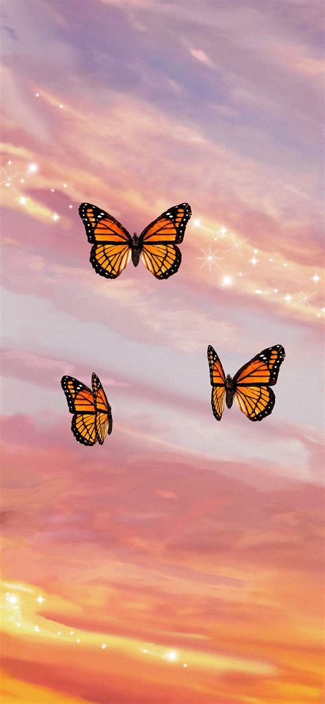 Butterfly Sunset Wallpapers - Top Free Butterfly Sunset Backgrounds ...