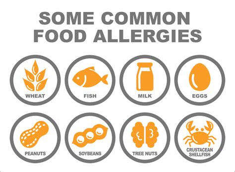 The Most Common Food Allergies and How Can They Be Avoided? - Now Then ...