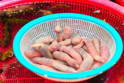 Urechis Unicinctus at Fish Market in Jagalchi in Busan Stock Photo ...