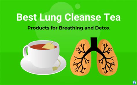 9 Best Lung Cleanse Tea Products for Breathing and Detox