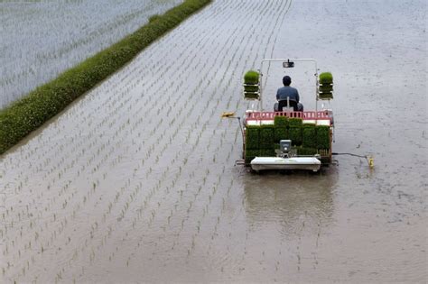 Japan's demand for rice falls 10 years in a row - The Japan Times