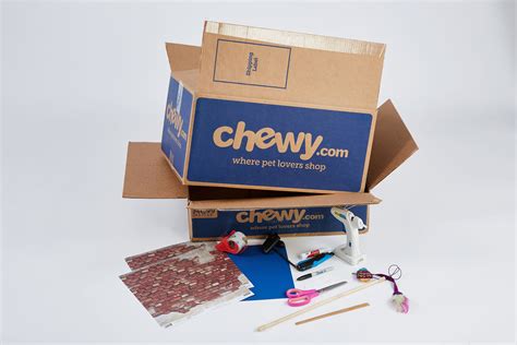 Chewy Box Craft: DIY Cat House Cat Furniture Castle Craft | BeChewy