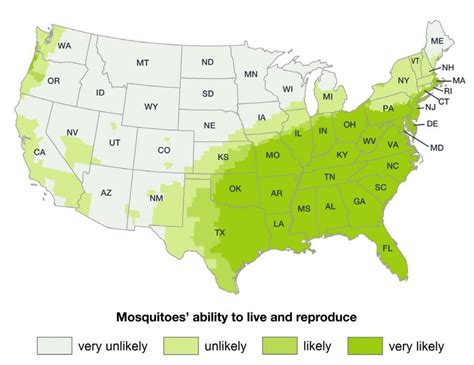 The Asian tiger mosquito (Aedes albopictus) – Biogents USA