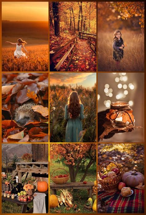 Autumn Tea, Hello Autumn, Color Collage, Photo Collage, Pet Spaces ...