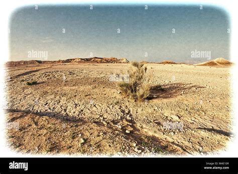 Negev Desert in Israel Stock Photo - Alamy