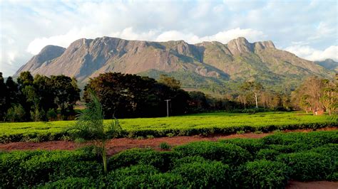 Mount Mulanje Wallpapers - Wallpaper Cave