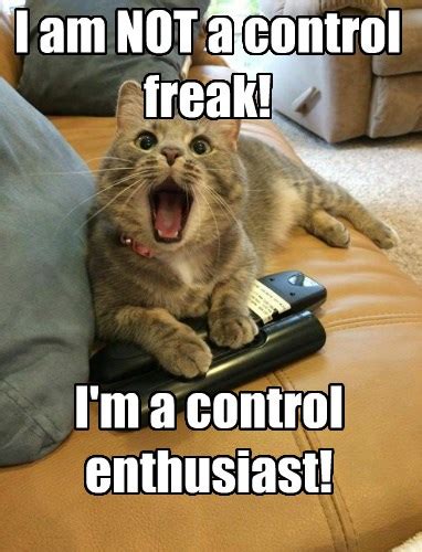 Lolcats - remote control - LOL at Funny Cat Memes - Funny cat pictures ...