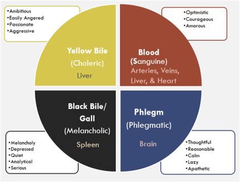 Phlegmatic temperament: Specifications and lifestyle - Tehran Times