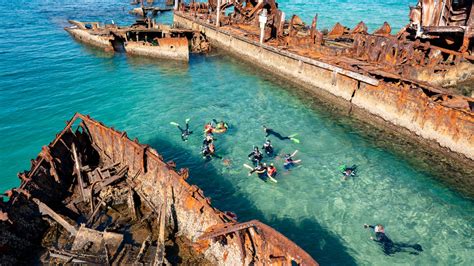 Tangalooma Wrecks Snorkel Tour from Sandstone Point & Redcliffe