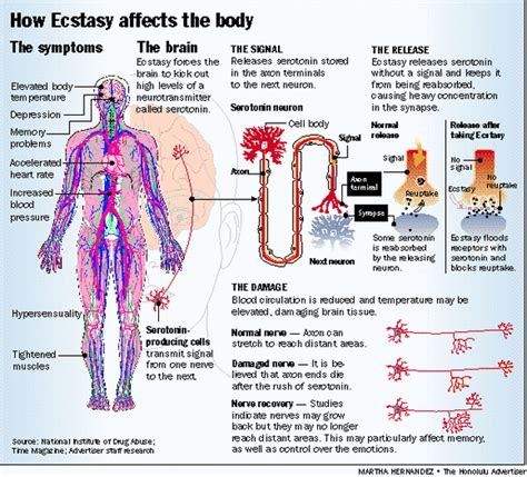 Effects? - ECSTASY ... Illicit Drug Awareness