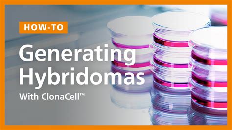 ClonaCell™ Hybridoma Generation Protocol Using Semi-Solid Cloning - YouTube