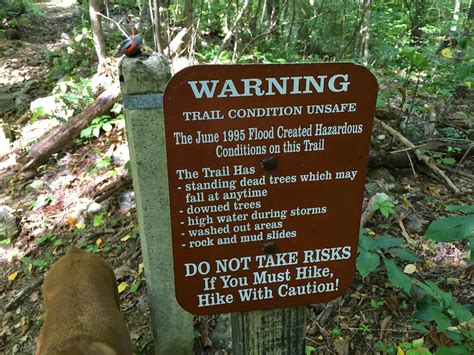 Wandering Virginia: Shenandoah's Pocosin Hollow Trail