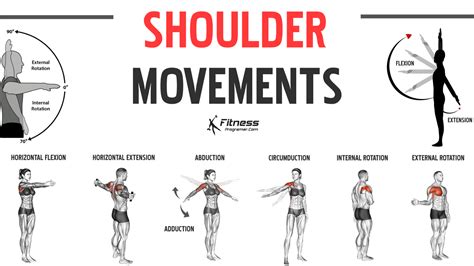 9 Shoulder Joint Movements | Anatomy And Function