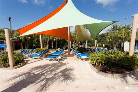 Renaissance Orlando at SeaWorld Pool Pictures & Reviews - Tripadvisor