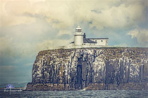 Lighthouse on Farne Islands | Farne islands, Lighthouse, Island