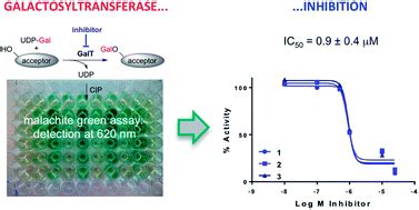 A practical glycosyltransferase assay for the identification of new ...