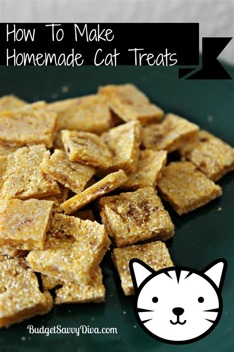 How To Make Homemade Cat Treats Recipe - Budget Savvy Diva