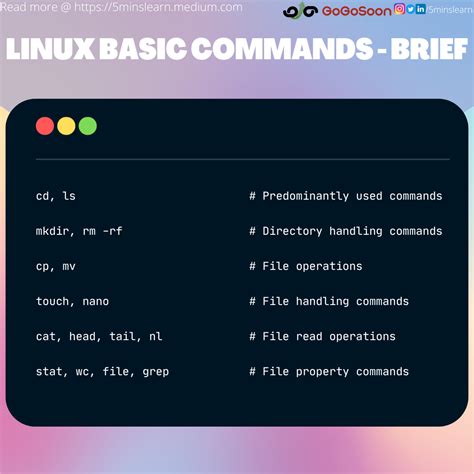 How to Learn the Linux Terminal as a Beginner – Tips and Examples