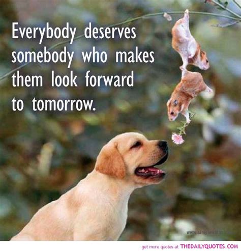 Everybody Deserves - The Daily Quotes | Cute animal quotes, Baby ...