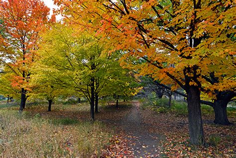 12 stunning photos of fall colours in High Park