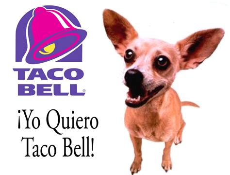 New Jersey Couple Sues Taco Bell Over Chalupa Prices – The News Beyond ...