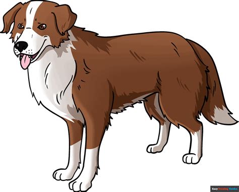 How To Draw A Realistic Dog Full Body