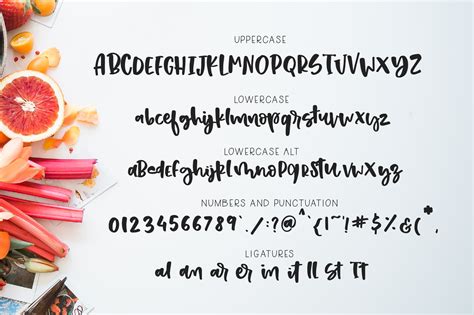 Strawberry Shortcake Font & Extras By The Ink Affair | TheHungryJPEG