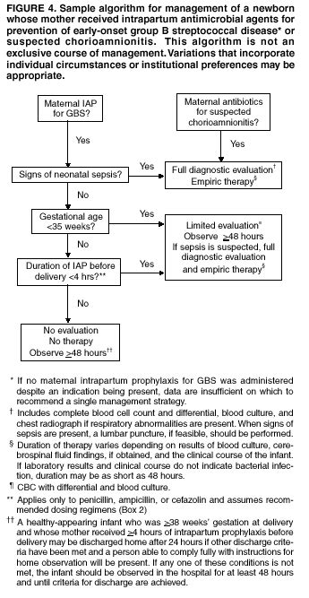 Group B Strep Protocol