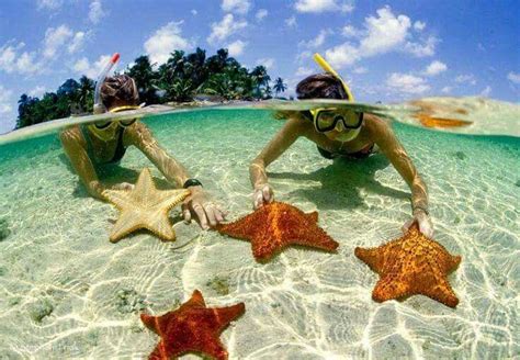 Panama's Snorkeling Hot Spots - THE PANAMA PERSPECTIVE