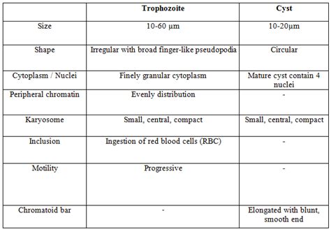 Entamoeba histolytica - DIAGNOSTIC OF INTESTINAL AMEBAES