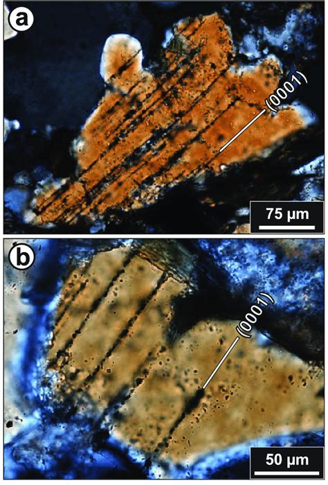 Thin section photomicrographs of shocked quartz grains in shatter cone ...