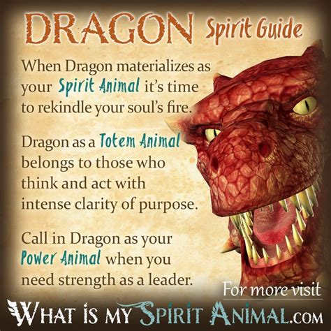 Dragon Symbolism & Meaning | Spirit, Totem & Power Animal