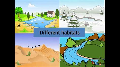 Grade 4 Science Unit Habitats Clipart