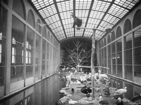 14 more vintage photos of Washington Park Zoo