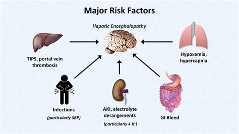 Hepatic Encephalopathy - YouTube