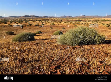 Semi arid region arid region hi-res stock photography and images - Alamy