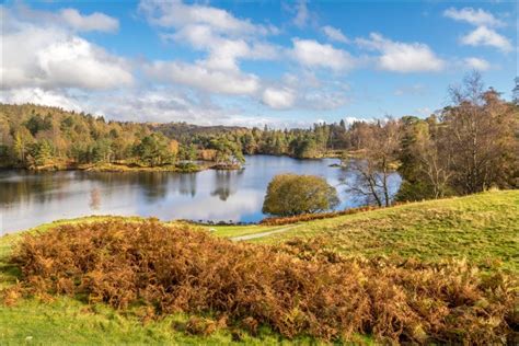 Tarn Hows walk - The Tarns walk - Coniston walks - Lake District walks