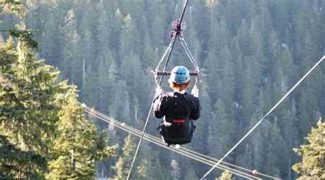 Grouse Mountain Ziplines | Vancouver's Best Places