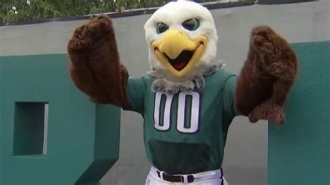 Are You Experienced? Swoop Gets Eagles Fans Fired Up at Training Camp ...